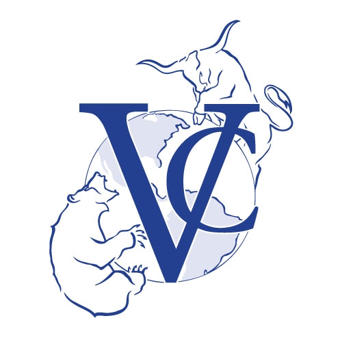 Ingeniar Company - Villagomez capital - logo png